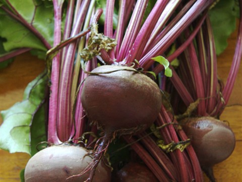Beetroot Soup