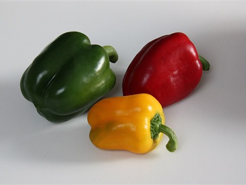 Capsicum