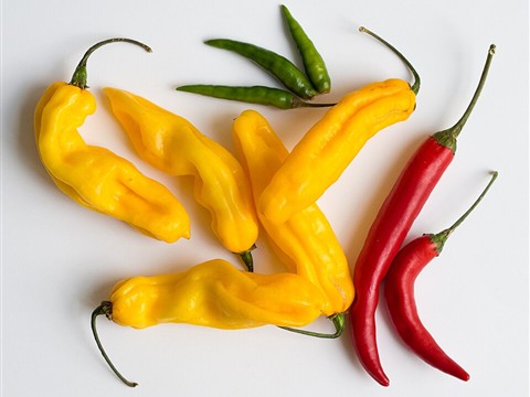 Green Chilli