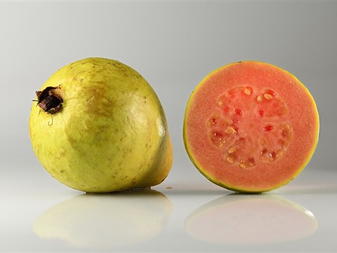 Guava