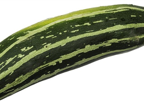 Zucchini